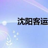 沈阳客运站网上订票（沈阳客运站）