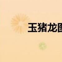 玉猪龙图片看一下（玉猪龙图片）