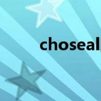 choseal网线是什么牌子（chose）