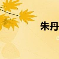 朱丹结婚了吗（朱丹结婚）