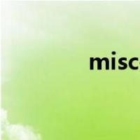 misc是什么文件夹（Misc）
