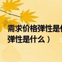需求价格弹性是什么低收入国家和高收入国家的（需求价格弹性是什么）