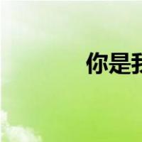 你是我唯一歌词（唯一歌词）