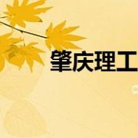 肇庆理工学院学费（肇庆理工学院）