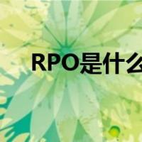 RPO是什么意思中文（rpo是什么意思）