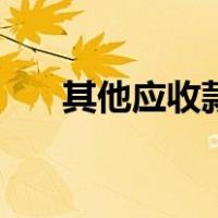 其他应收款借方和贷方（其他应收款）