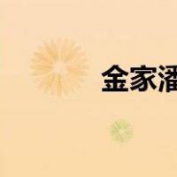 金家潘出招表2002（金家潘）