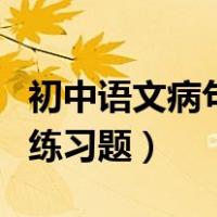 初中语文病句类型及训练专题（初中语文病句练习题）