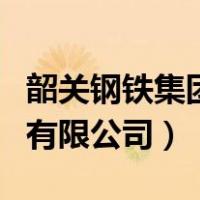 韶关钢铁集团有限公司董事长（韶关钢铁集团有限公司）