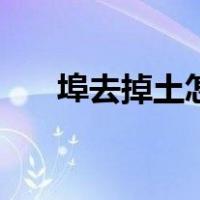 埠去掉土怎么读音（埠去掉土念什么）