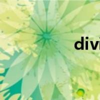 divide into和divide to