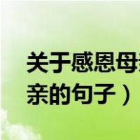 关于感恩母亲的句子83字左右（关于感恩母亲的句子）
