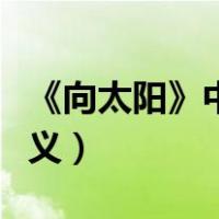 《向太阳》中太阳的象征意义（太阳的象征意义）