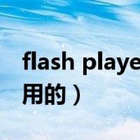 flash player干啥的（flash player是干什么用的）