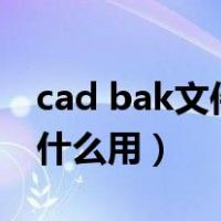 cad bak文件是什么文件（cad的bak文件有什么用）
