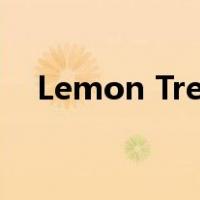 Lemon Tree伴奏谱（lemon tree伴奏）