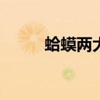 蛤蟆两大仙人（大蛤蟆仙人厉害）