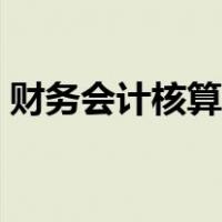 财务会计核算制度范本（财务会计制度范本）