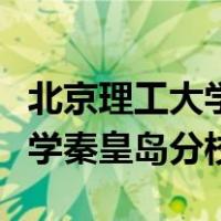 北京理工大学秦皇岛分校有多大（北京理工大学秦皇岛分校）