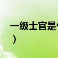 一级士官是什么级别?（一级士官是什么级别）