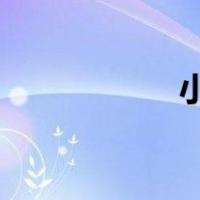 小学生习惯养成计划