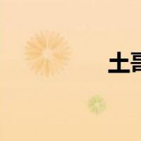 土哥的图片（土佬哥网）