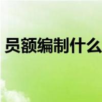 员额编制什么时间改制（员额编制什么意思）