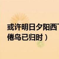 或许明日夕阳西下倦鸟已归时什么意思（或许明日太阳西下倦鸟已归时）