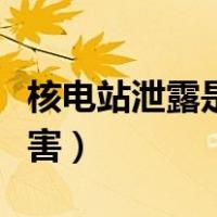 核电站泄露是什么污染（核电站泄露有什么危害）