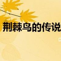 荆棘鸟的传说故事梗概（荆棘鸟的传说故事）