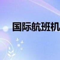 国际航班机票查询中文（国际航班机票）