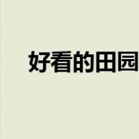 好看的田园小说知乎（好看的田园小说）