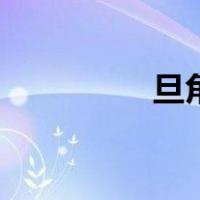 旦角的来历（旦角介绍）