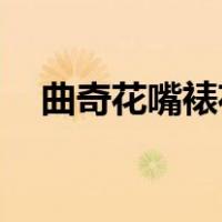 曲奇花嘴裱花款式（qq回执编号怎么用）