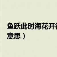 鱼跃此时海花开彼岸天出自何处（鱼跃此时海花开彼岸天的意思）