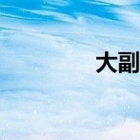 大副收据英文（大副收据）
