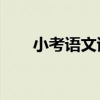 小考语文试卷2022（小考语文试卷）