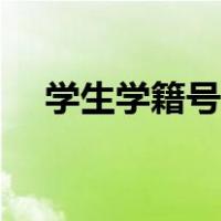 学生学籍号的格式（小学生学籍号格式）
