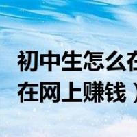 初中生怎么在网上赚钱最快方法（初中生怎么在网上赚钱）