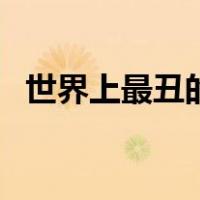 世界上最丑的狗长啥样（世界上最丑的狗）