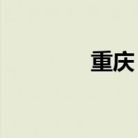 重庆 国税（重庆市国税局）