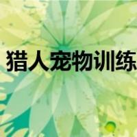 猎人宠物训练点数分配（猎人宠物训练点数）
