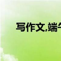 写作文,端午节（小学生作文写端午节）