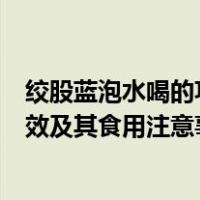 绞股蓝泡水喝的功效与作用及食用方法（绞股蓝泡水喝的功效及其食用注意事项）