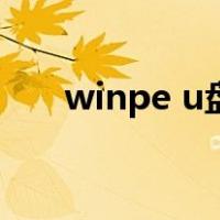 winpe u盘启动版（winpe u盘启动）