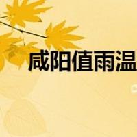 咸阳值雨温庭筠古诗（咸阳值雨温庭筠）
