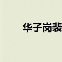 华子岗裴迪古诗视频（华子岗裴迪）