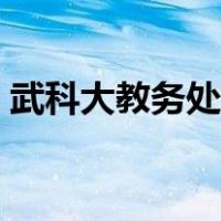 武科大教务处官网网址（武科大教务处官网）