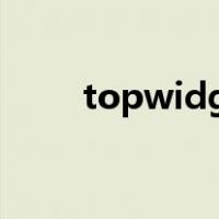topwidgets怎么用（gets怎么用）