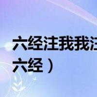 六经注我我注六经观点的看法（六经注我我注六经）